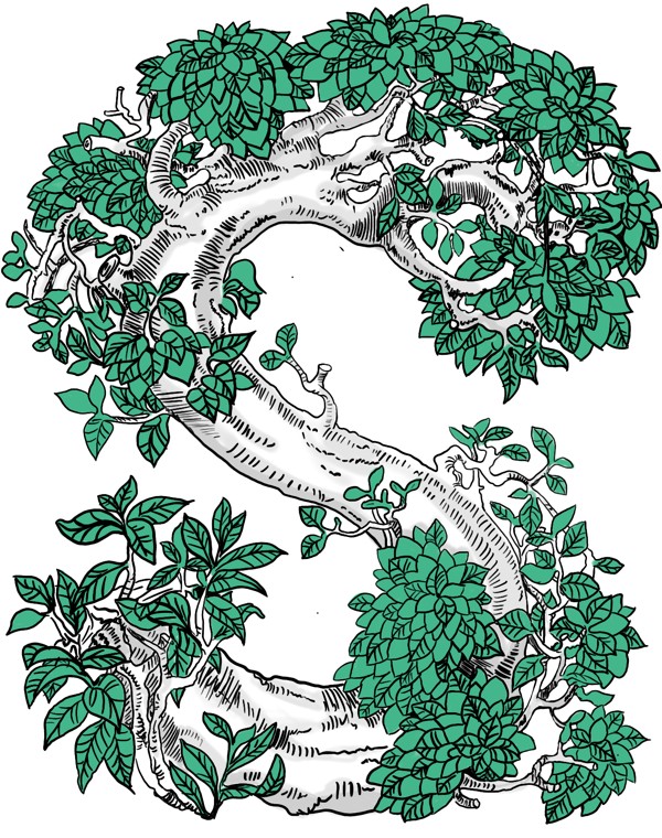 Services tree